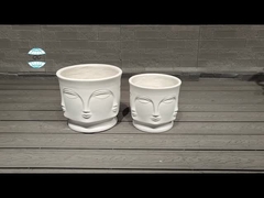 زراعة حديقة منزلية حديقة شقة داخلية