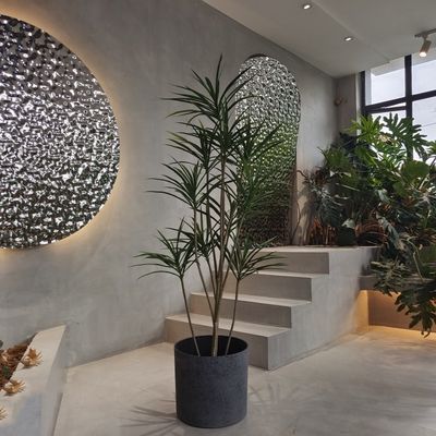 شراء محطات بلاستيكية مستعملة مستديرة خفيفة الوزن لزراعة البذور online manufacture