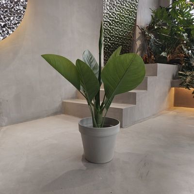شراء أواني حديقة بلاستيكية صديقة للبيئة مضادة للماء 250 * 175 * 230MM online manufacture