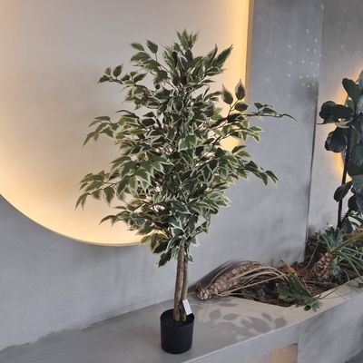شراء نباتات مزيفة من البلاستيك المقاومة للحشرات 120 سم online manufacture