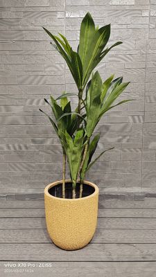 شراء نمط قشرة البطيخ الأصفر الألياف الطينية المستديرة مشروع ترميم حدائق المزارعين online manufacture