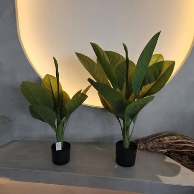 مواد بلاستيكية طويلة الأمد النباتات الاصطناعية 70 سم شجرة Dieffenbachia الاصطناعية
