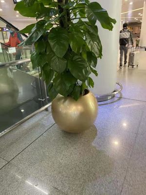 الاسم