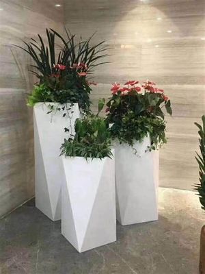 الاسم