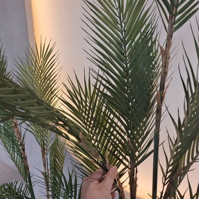الاسم