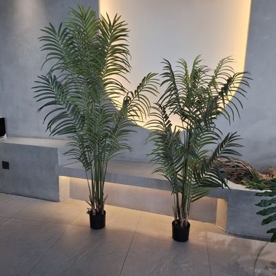 الاسم