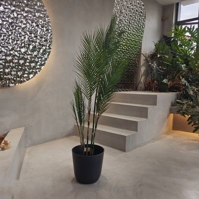 الاسم