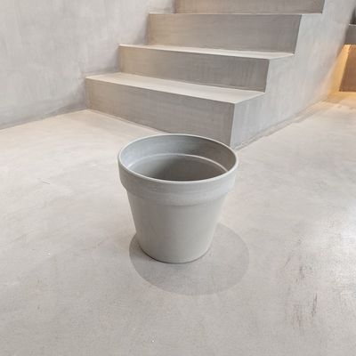 الاسم