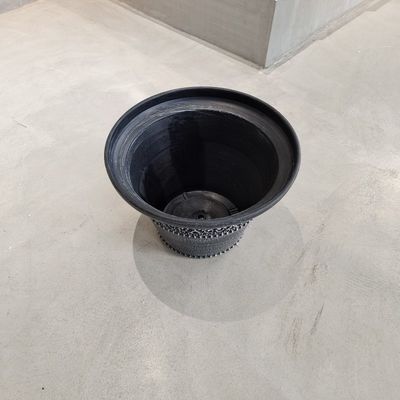 الاسم