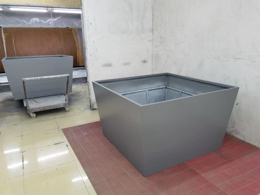 الاسم