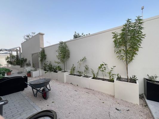 الاسم